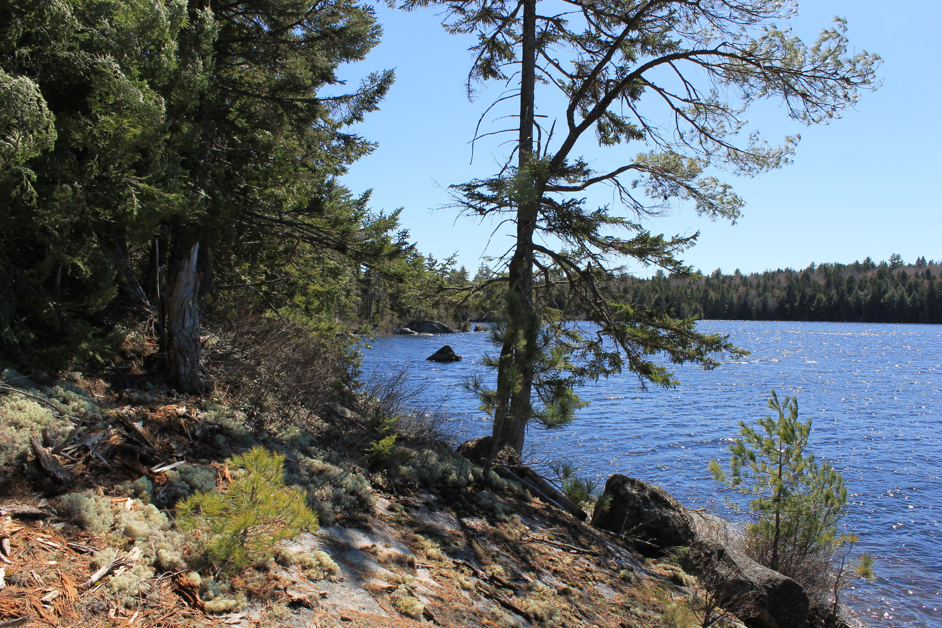 250 Long Lake Road Northfield ME 04654