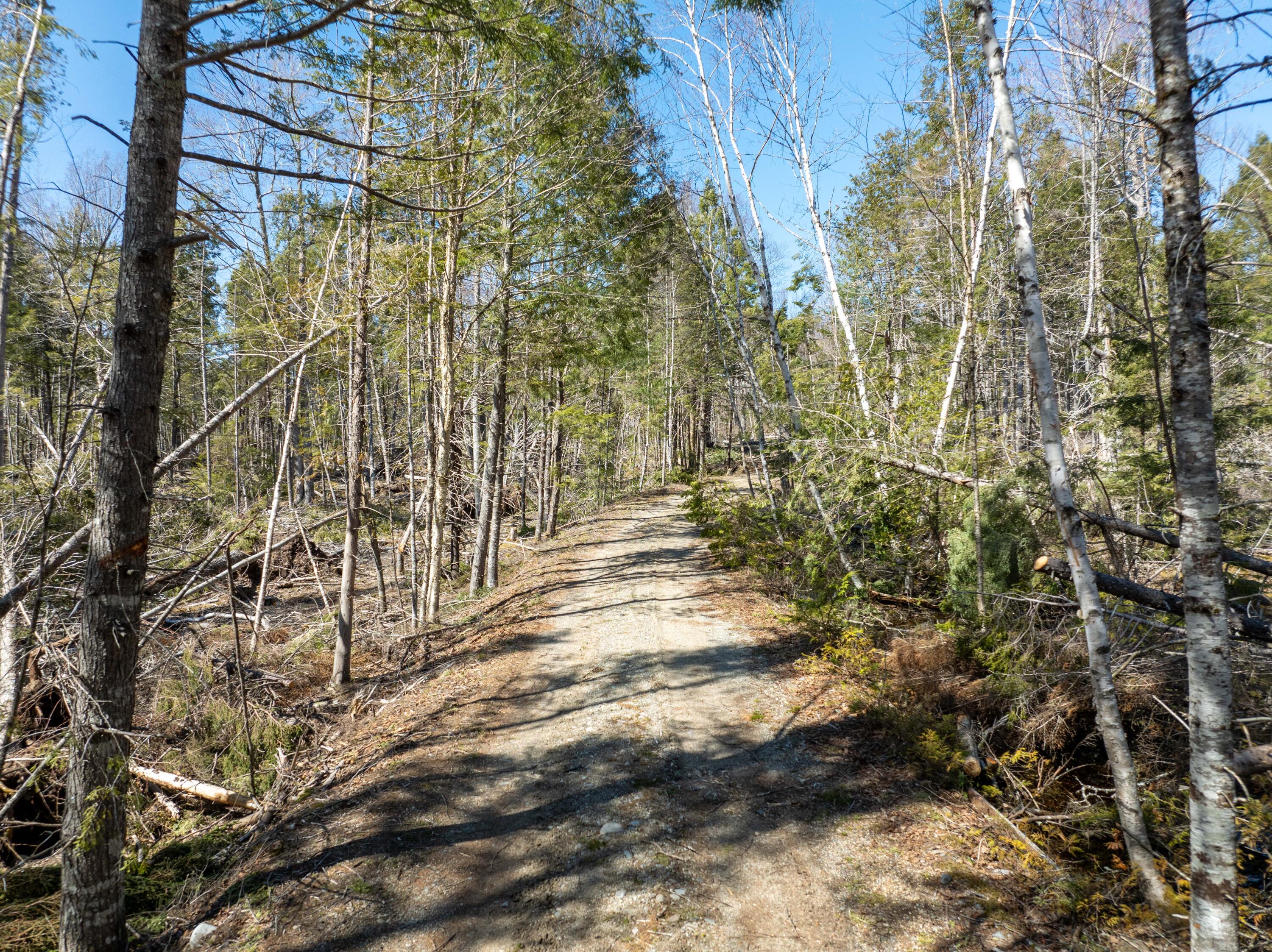 250 Long Lake Road Northfield ME 04654