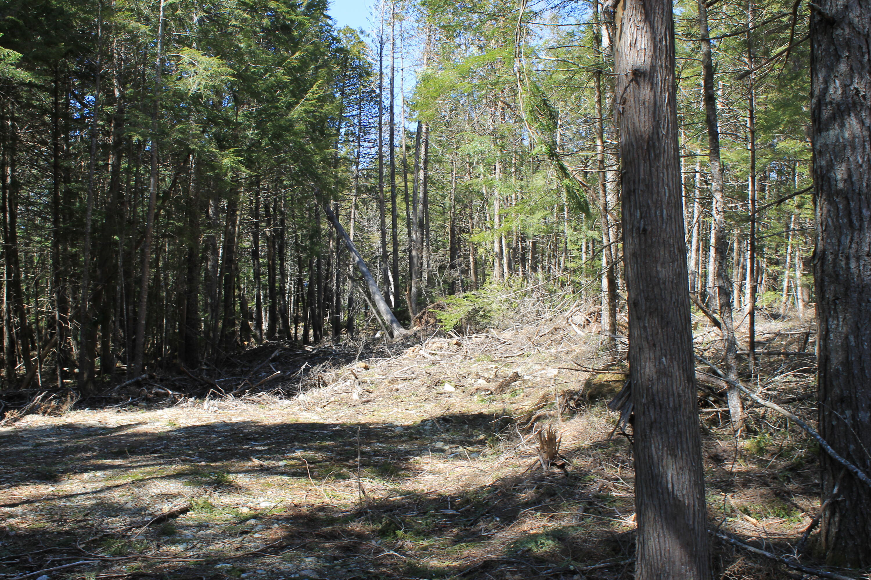 250 Long Lake Road Northfield ME 04654