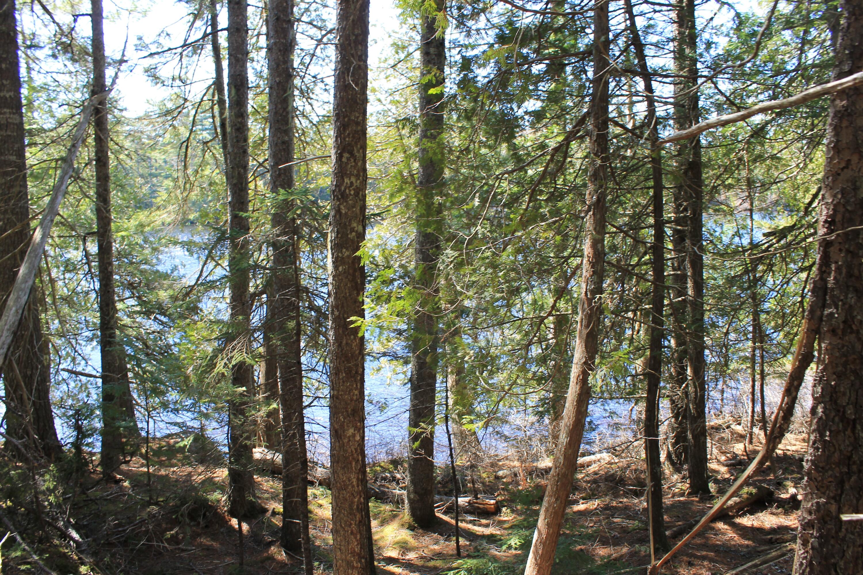 250 Long Lake Road Northfield ME 04654