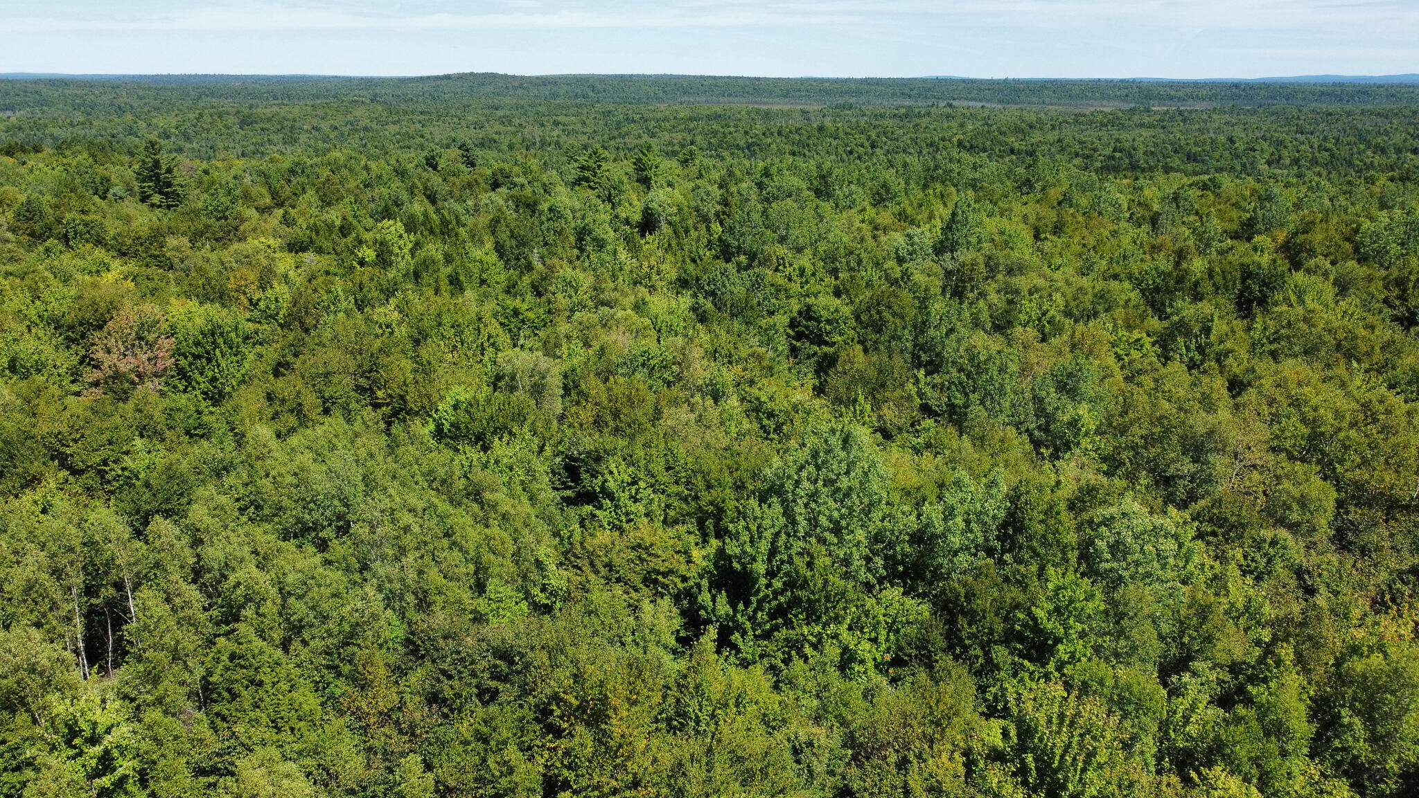 95 Branch Road Winn ME 04495