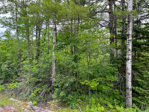 Lot 72-1 Hatstat Road Albany Twp ME 04217