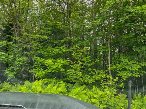 Lot 72-1 Hatstat Road Albany Twp ME 04217