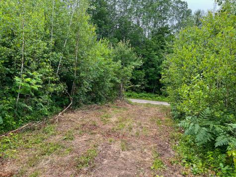 Lot 72-1 Hatstat Road Albany Twp ME 04217