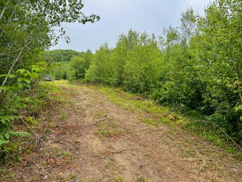 Lot 72-1 Hatstat Road Albany Twp ME 04217