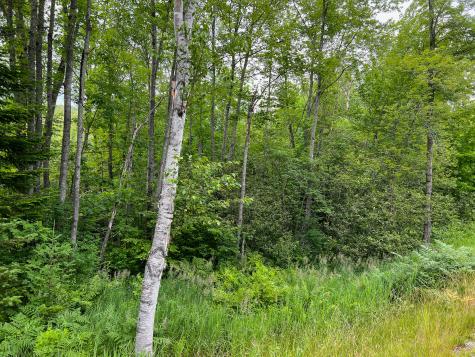 Lot 72-1 Hatstat Road Albany Twp ME 04217