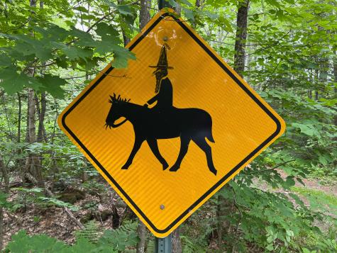 Lot 72-1 Hatstat Road Albany Twp ME 04217