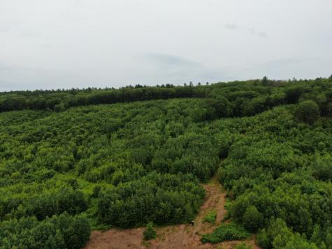 Lot 72-1 Hatstat Road Albany Twp ME 04217