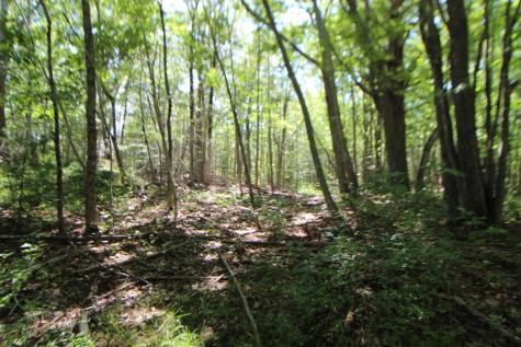 Lot 96 Pond Street Extension Street Bucksport ME 04416