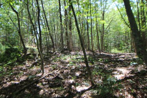 Lot 96 Pond Street Extension Street Bucksport ME 04416