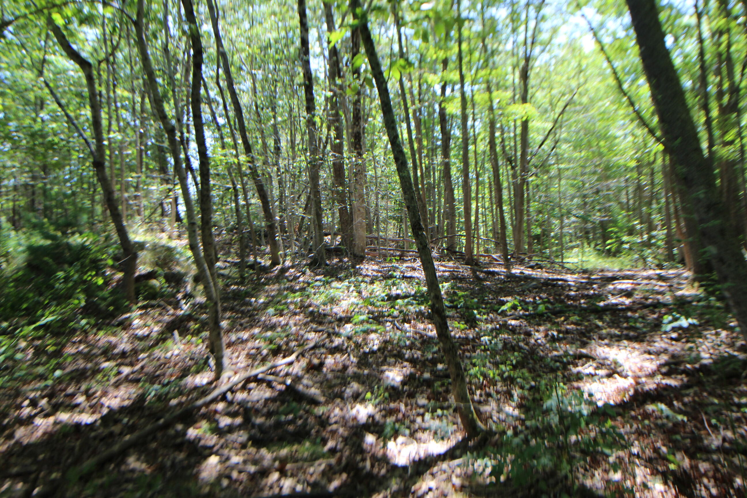 Lot 96 Pond Street Extension Street Bucksport ME 04416