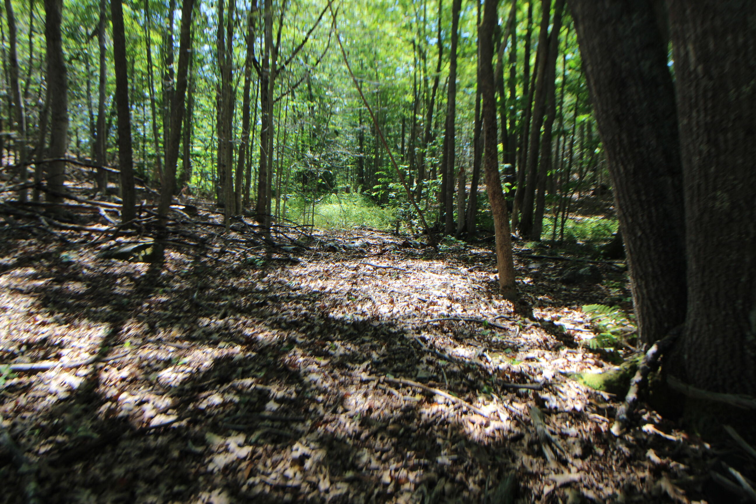 Lot 96 Pond Street Extension Street Bucksport ME 04416