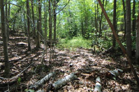 Lot 96 Pond Street Extension Street Bucksport ME 04416