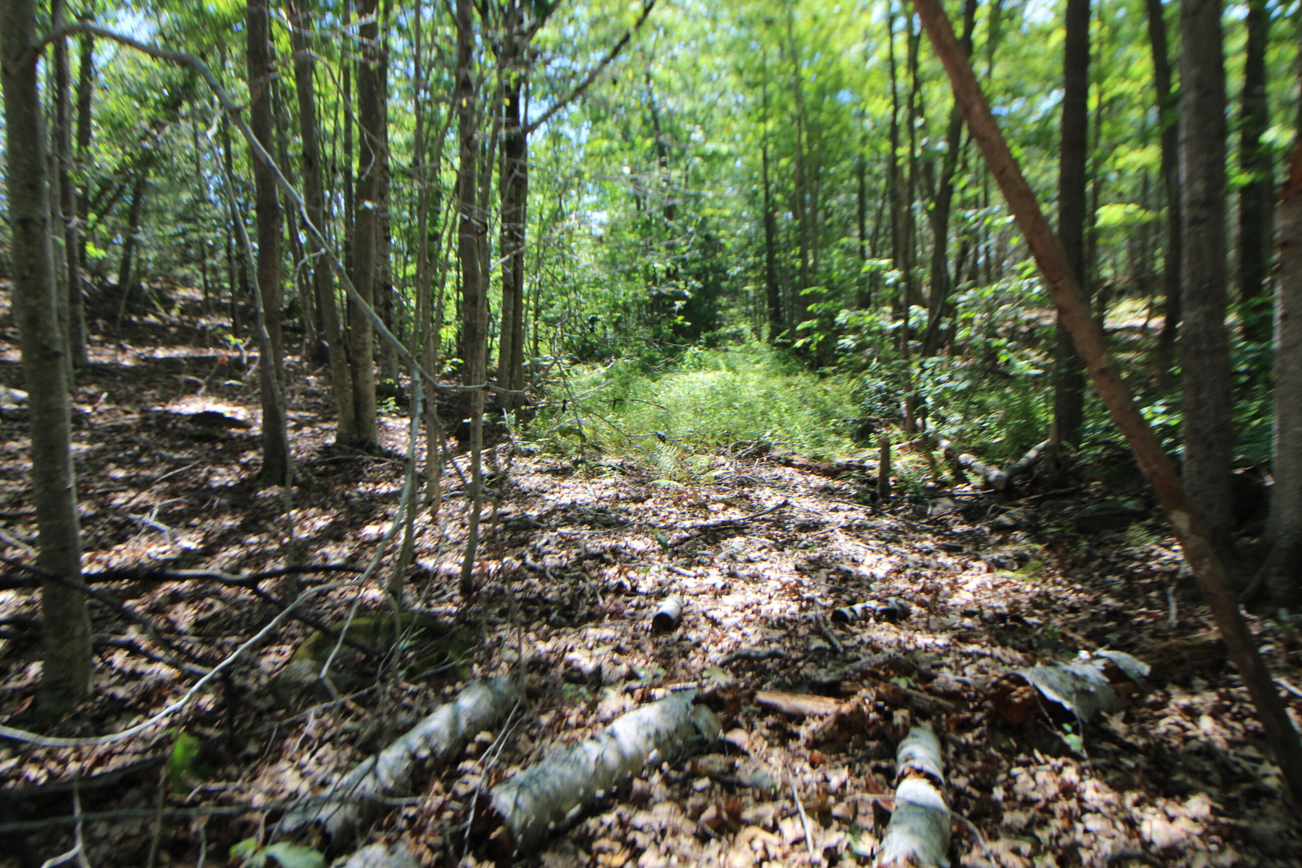 Lot 96 Pond Street Extension Street Bucksport ME 04416