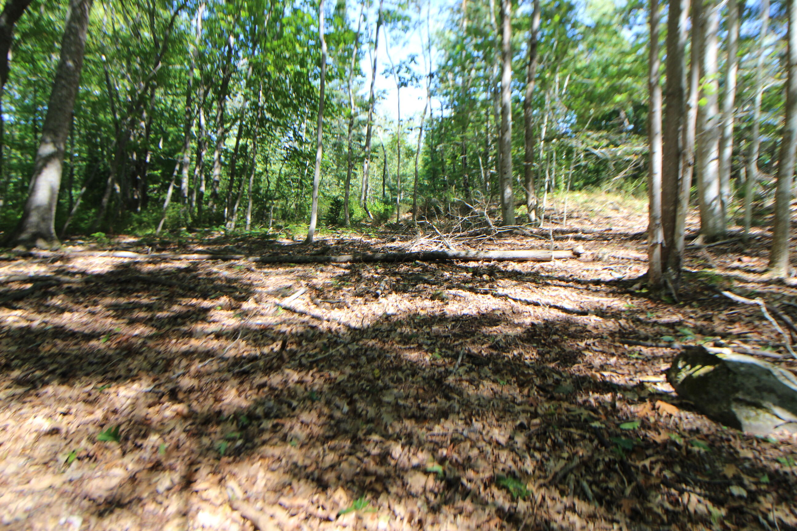 Lot 96 Pond Street Extension Street Bucksport ME 04416