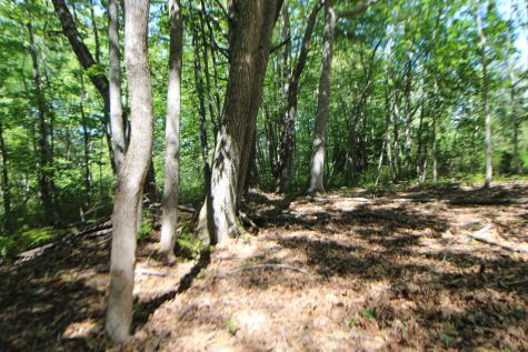 Lot 96 Pond Street Extension Street Bucksport ME 04416