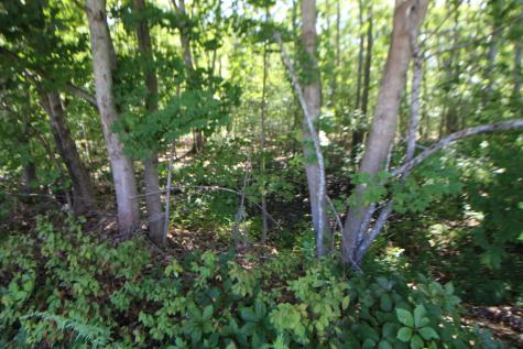 Lot 96 Pond Street Extension Street Bucksport ME 04416