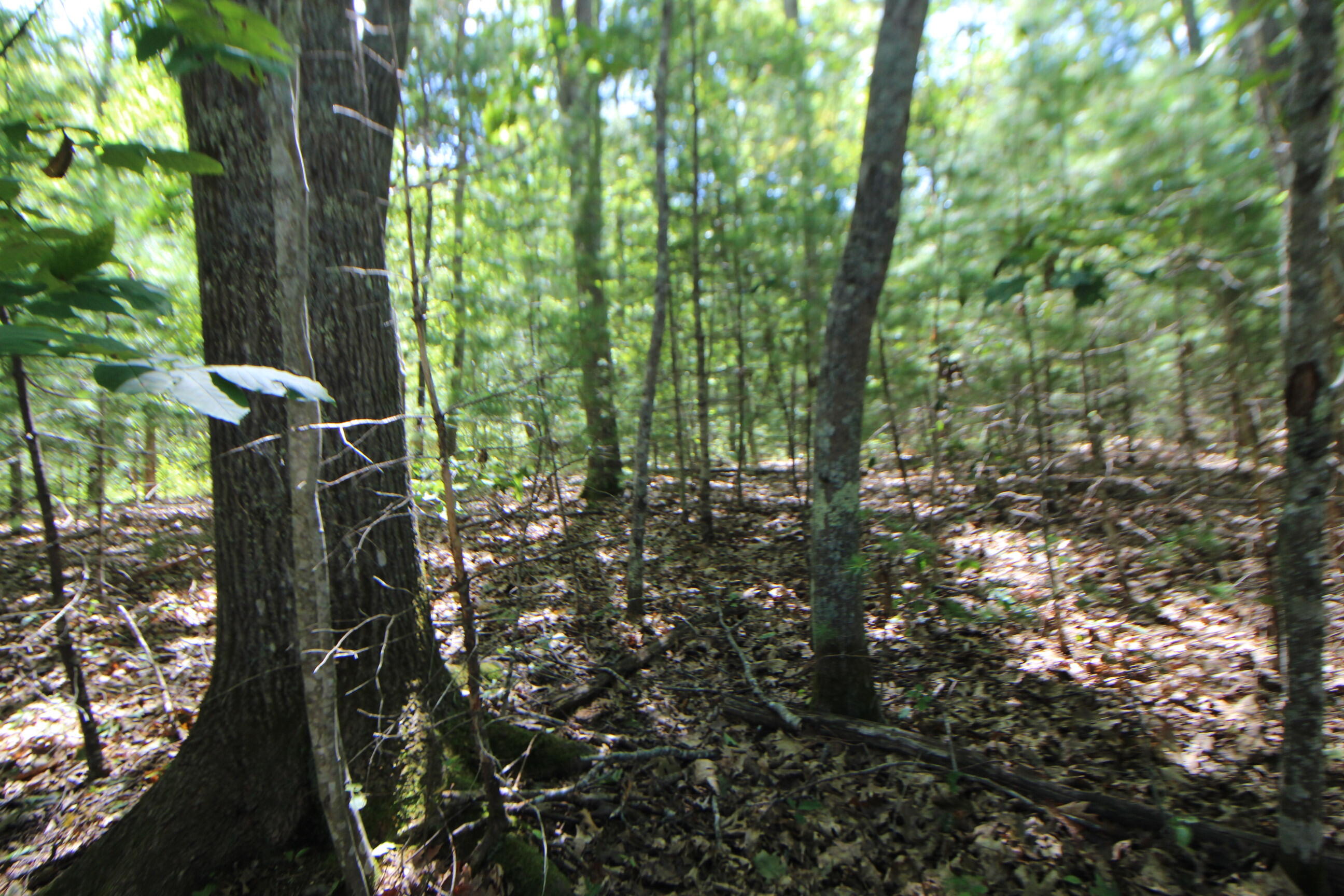 Lot 96 Pond Street Extension Street Bucksport ME 04416