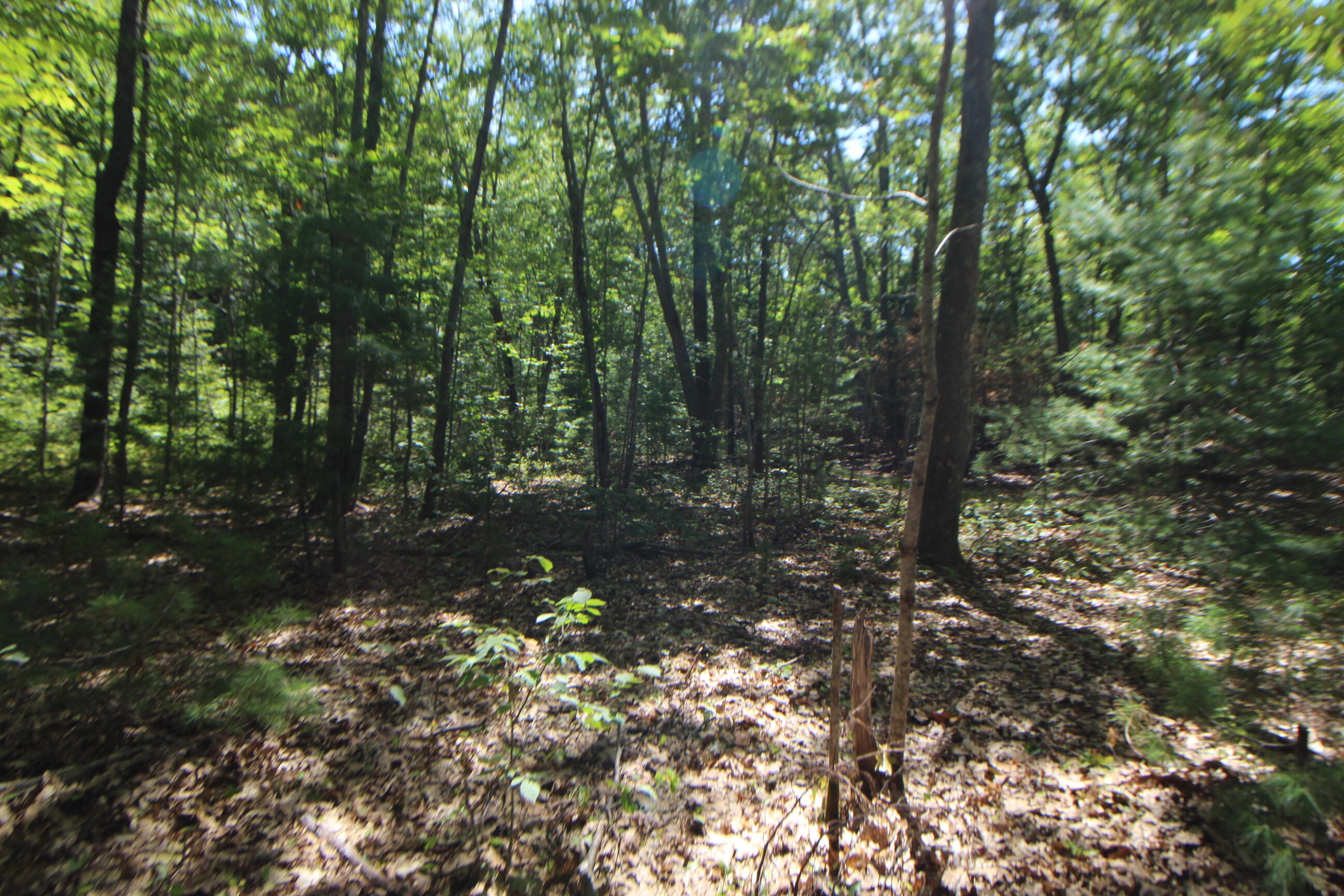 Lot 96 Pond Street Extension Street Bucksport ME 04416