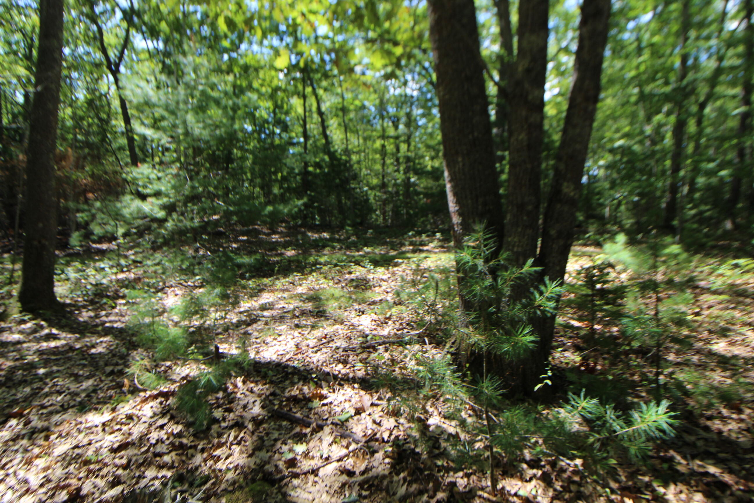 Lot 96 Pond Street Extension Street Bucksport ME 04416