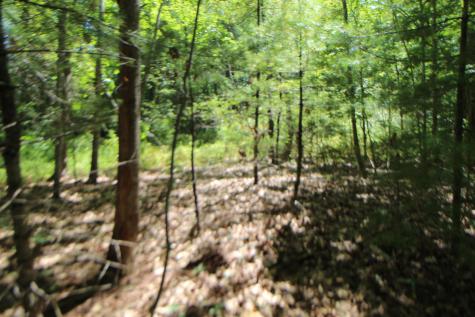 Lot 96 Pond Street Extension Street Bucksport ME 04416