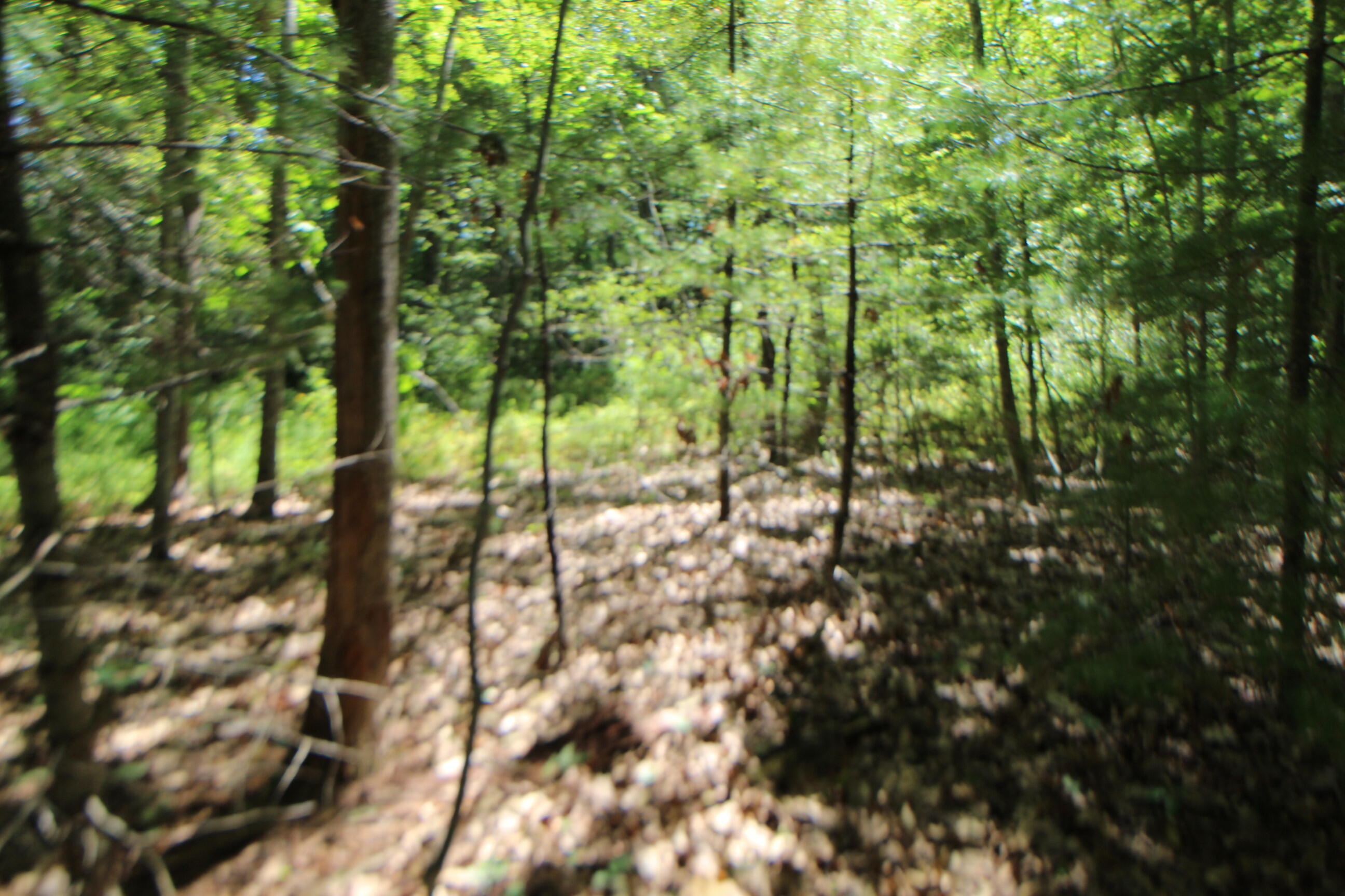 Lot 96 Pond Street Extension Street Bucksport ME 04416