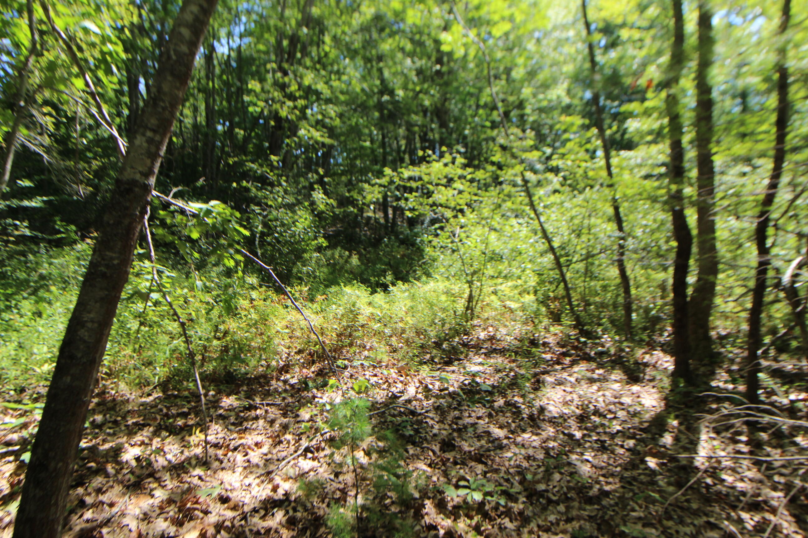 Lot 96 Pond Street Extension Street Bucksport ME 04416