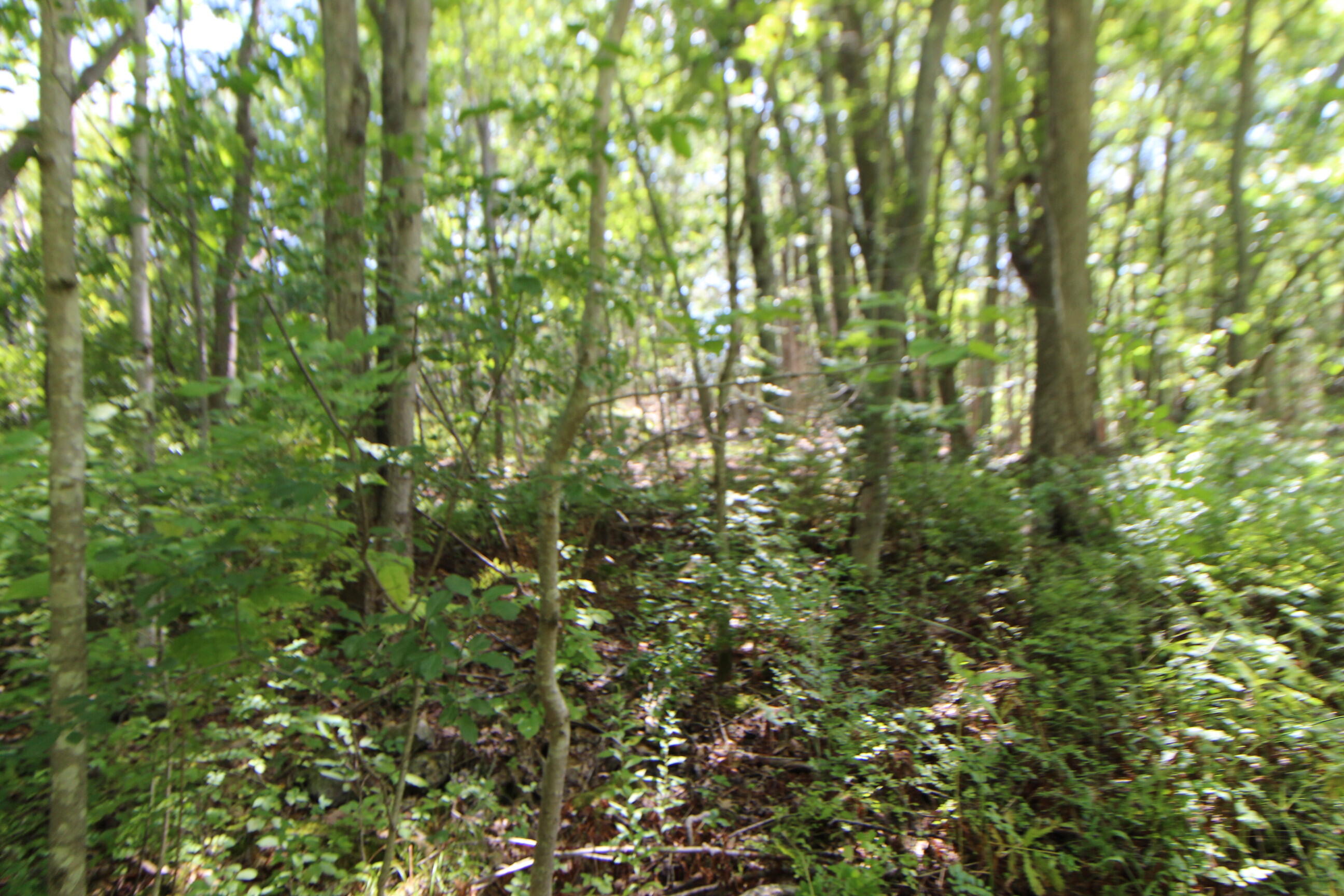 Lot 96 Pond Street Extension Street Bucksport ME 04416