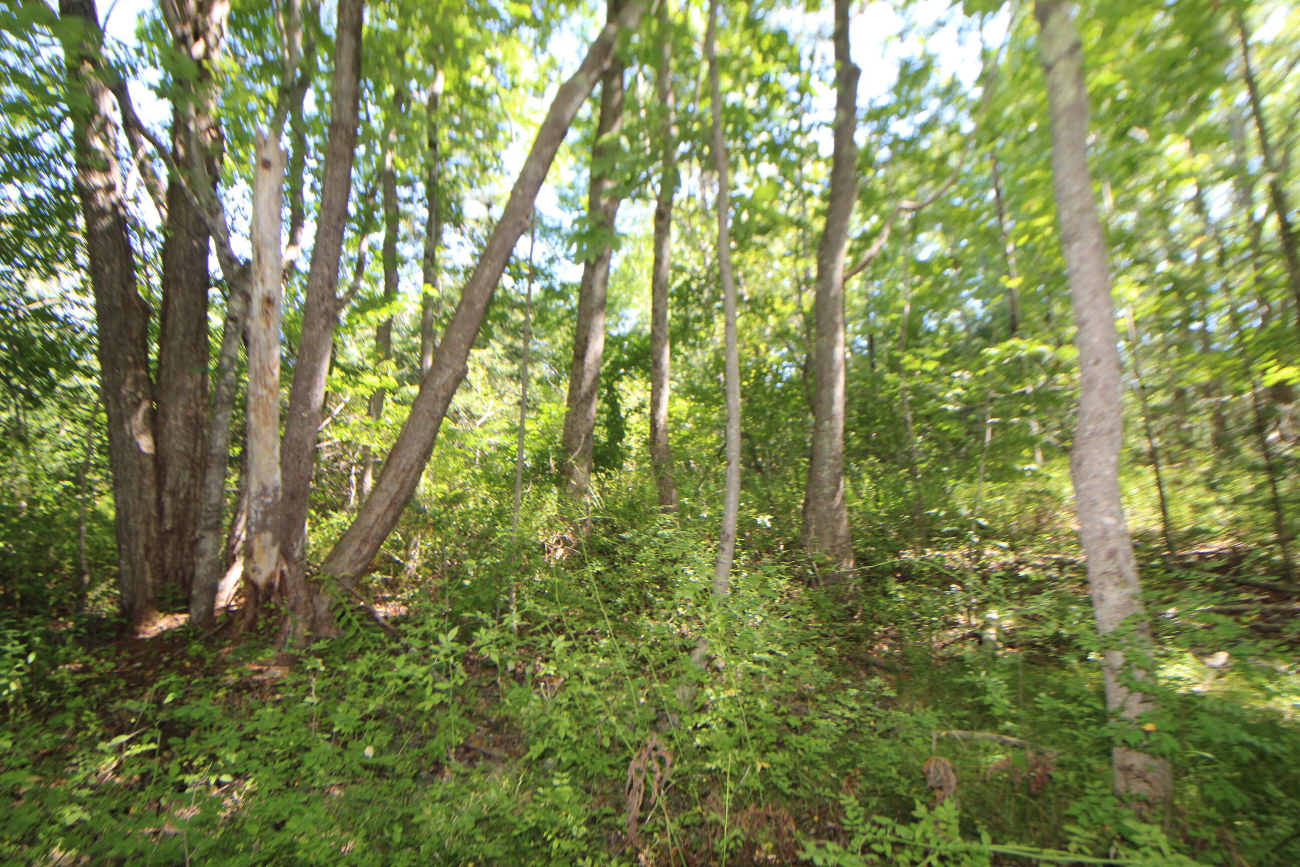 Lot 96 Pond Street Extension Street Bucksport ME 04416