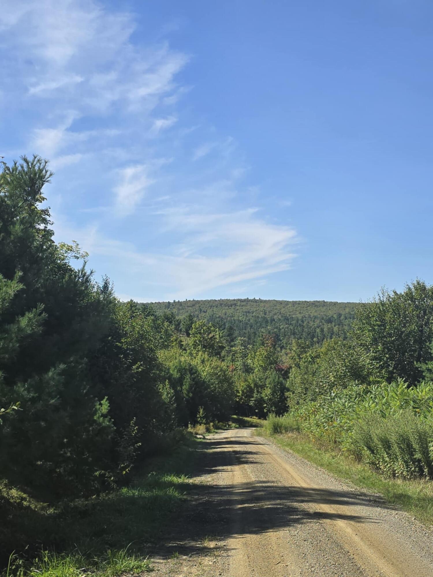 6 High Ground Road Freeman Twp ME 04983