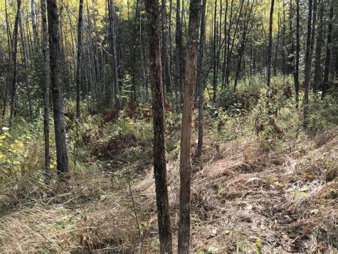 Lot 7-019 Parent Road Van Buren ME 04785