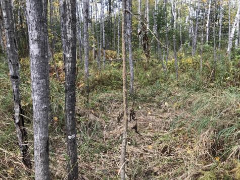 Lot 7-019 Parent Road Van Buren ME 04785