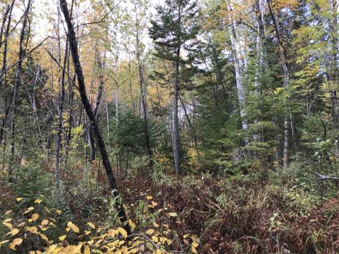 Lot 7-019 Parent Road Van Buren ME 04785