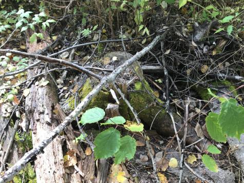 Lot 7-019 Parent Road Van Buren ME 04785