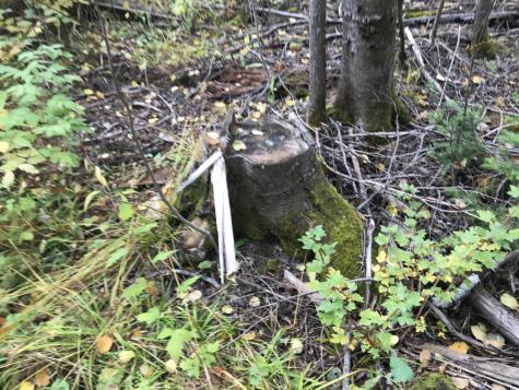 Lot 7-019 Parent Road Van Buren ME 04785