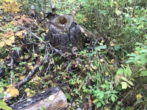 Lot 7-019 Parent Road Van Buren ME 04785