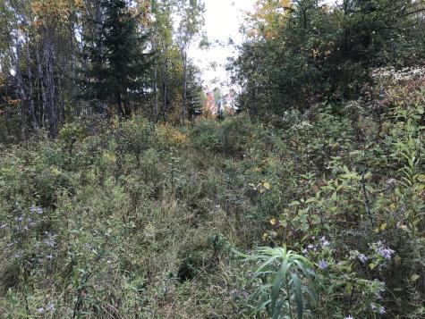 Lot 7-019 Parent Road Van Buren ME 04785