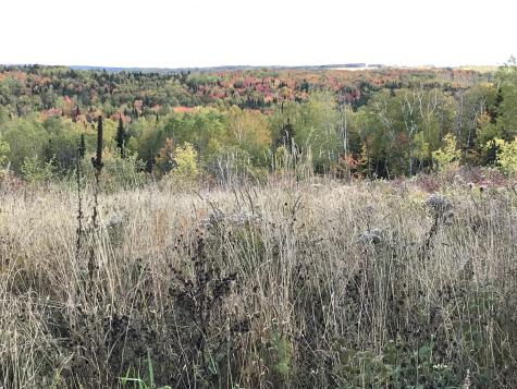 Lot 7-019 Parent Road Van Buren ME 04785