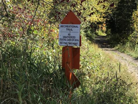 Lot 7-019 Parent Road Van Buren ME 04785