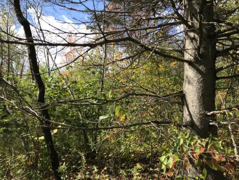 Lot 7-019 Parent Road Van Buren ME 04785