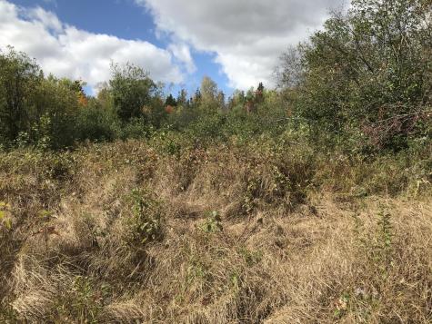 Lot 7-019 Parent Road Van Buren ME 04785