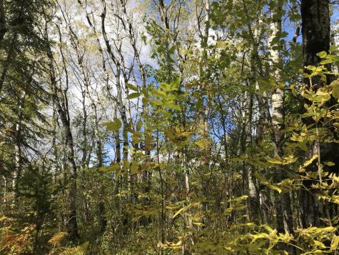 Lot 7-019 Parent Road Van Buren ME 04785