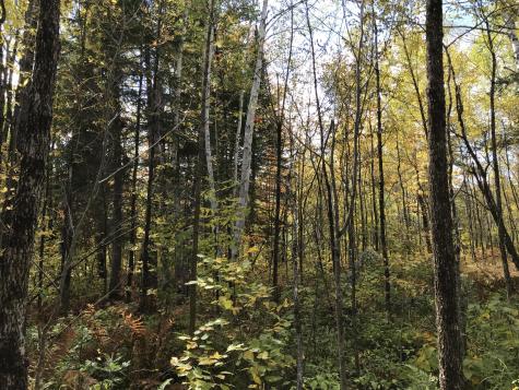 Lot 7-019 Parent Road Van Buren ME 04785