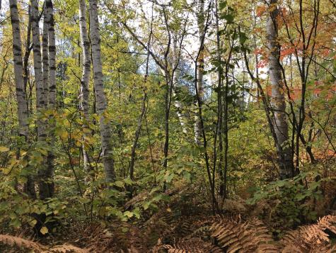 Lot 7-019 Parent Road Van Buren ME 04785