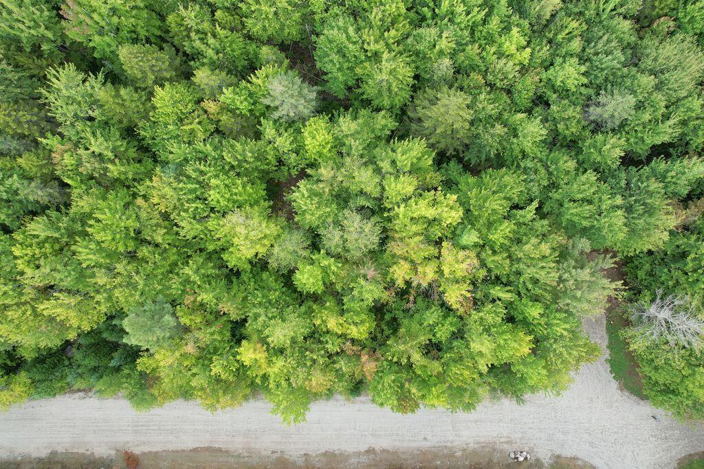 Lot 5 Foggy Ridge Way Ellsworth ME 04605