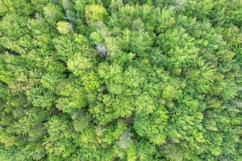 Lot 5 Foggy Ridge Way Ellsworth ME 04605