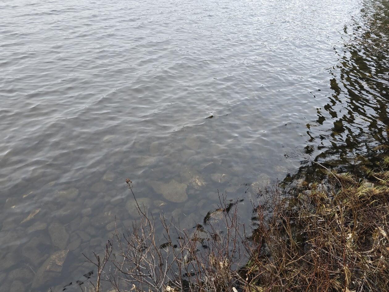 Lot 18-5 Camp Road Mount Chase ME 04765