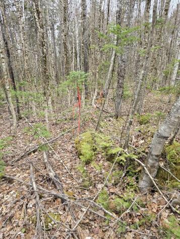 Lot 18-5 Camp Road Mount Chase ME 04765