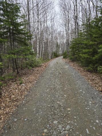 Lot 18-5 Camp Road Mount Chase ME 04765