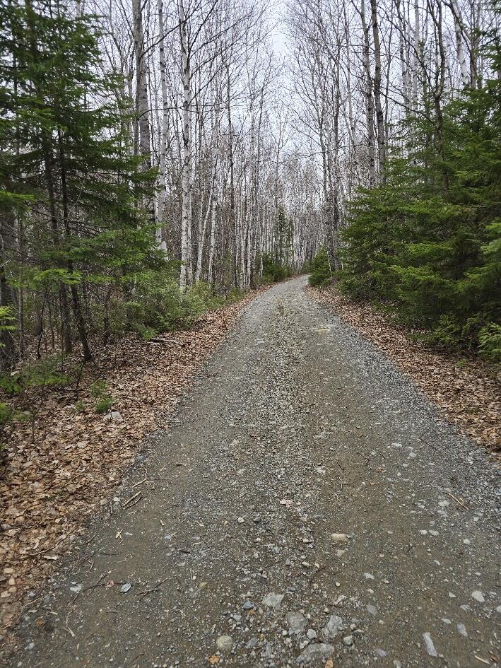 Lot 18-5 Camp Road Mount Chase ME 04765